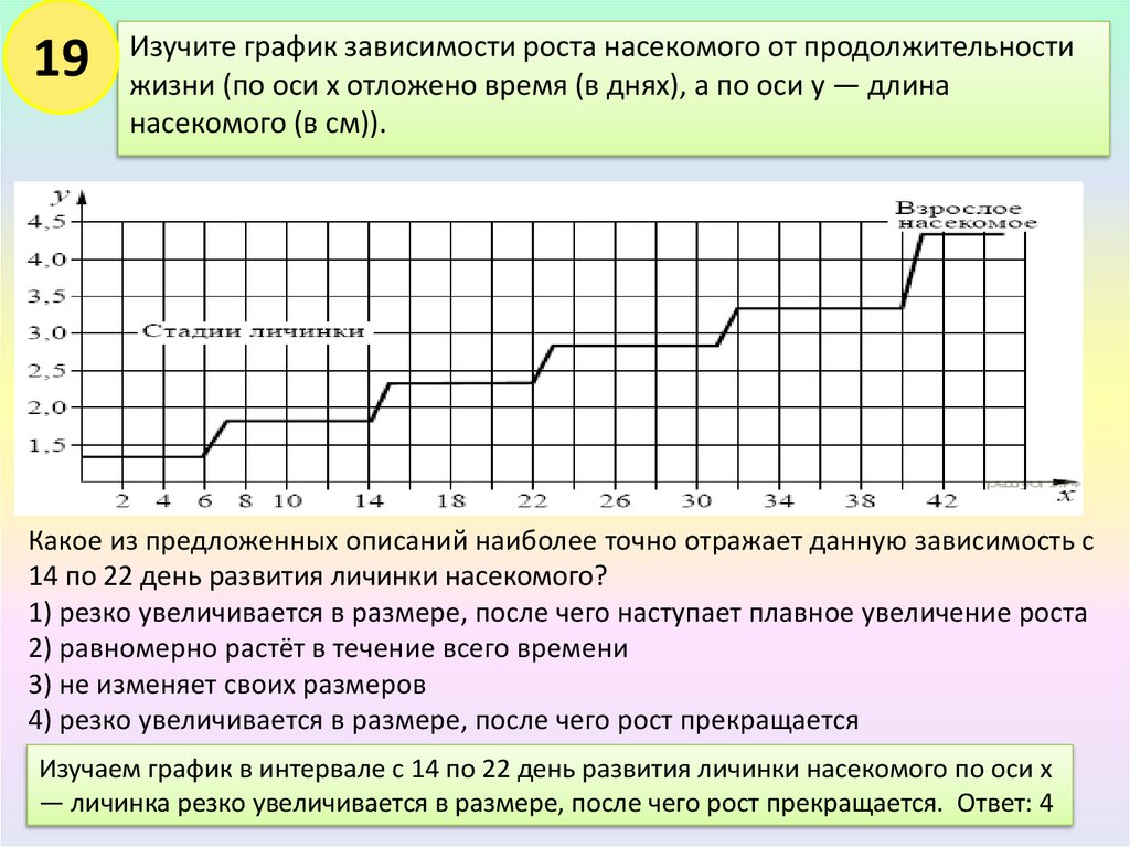 Интервалы график движения