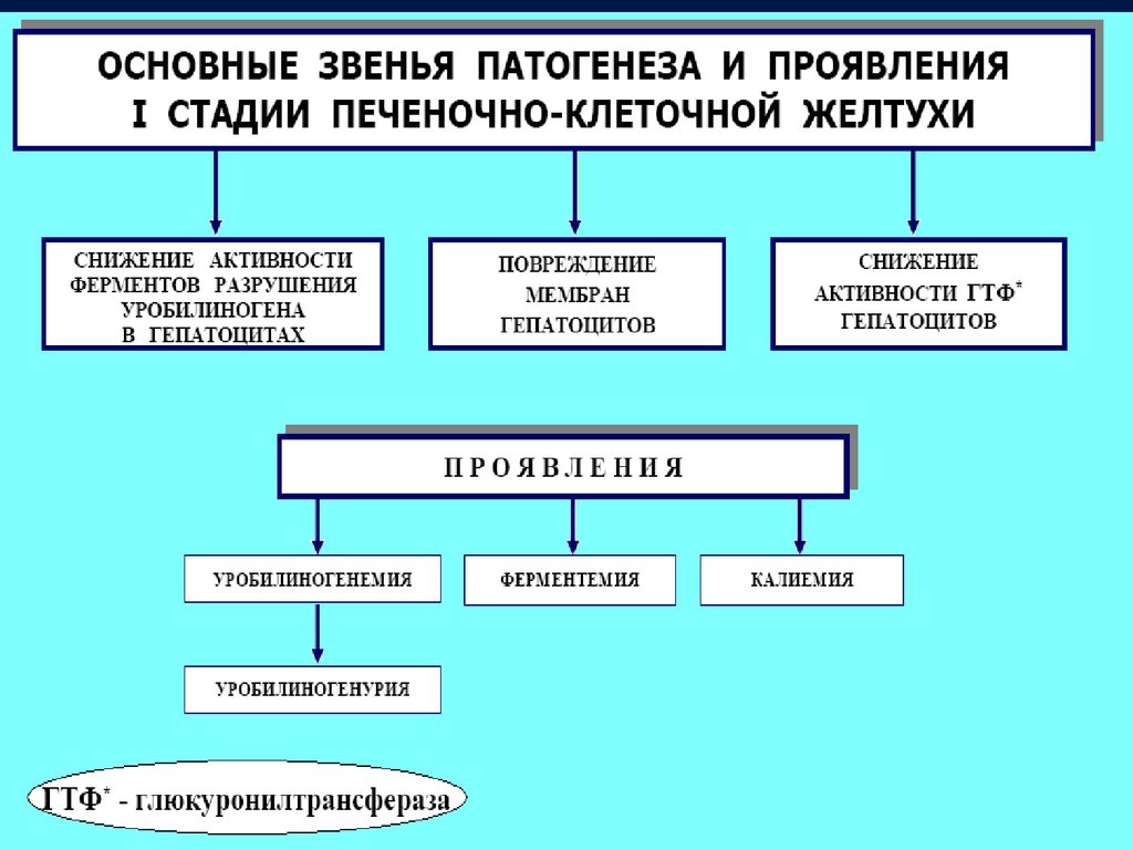 Патогенез механической желтухи схема