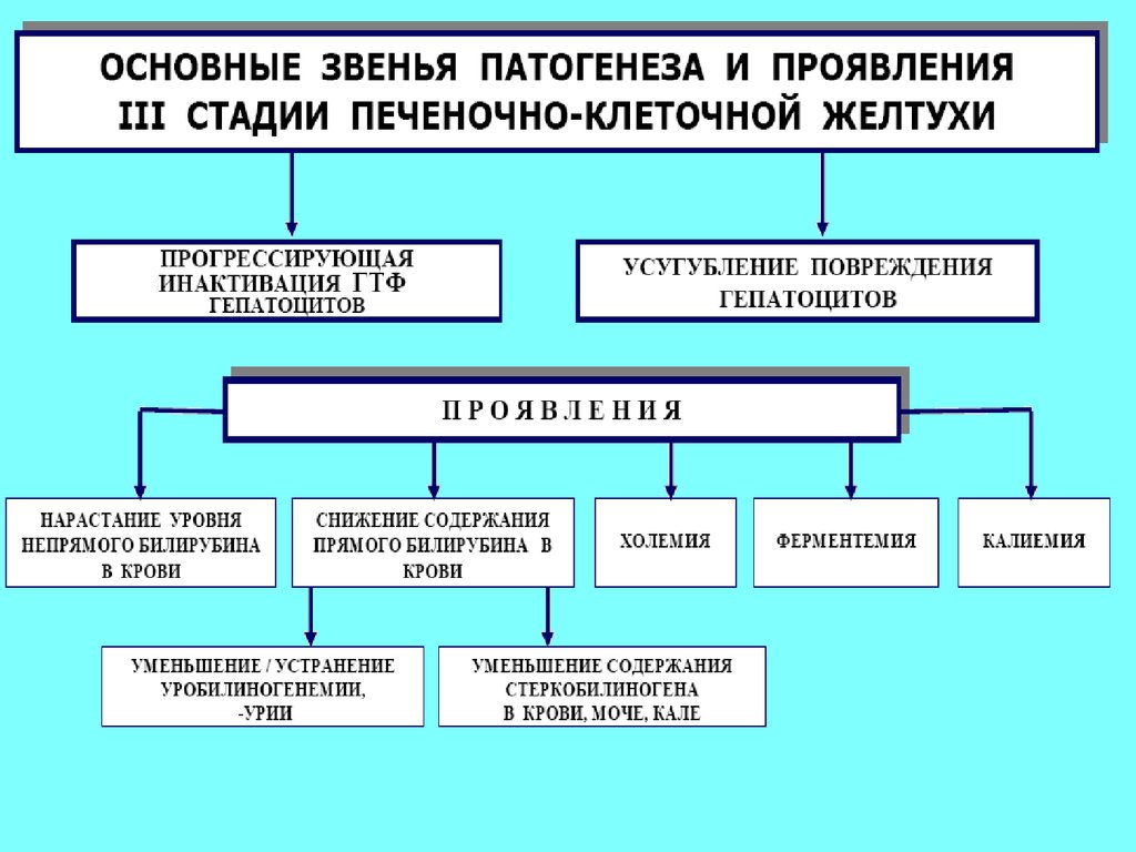 Желтуха патофизиология презентация