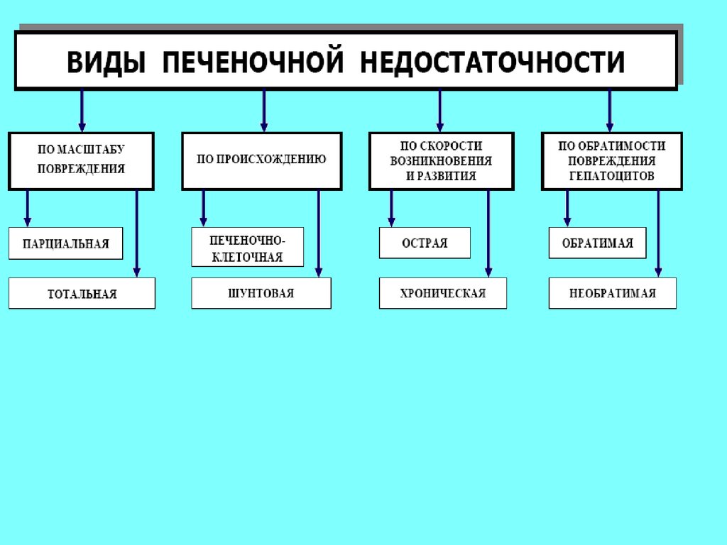 Печеночная недостаточность патофизиология презентация