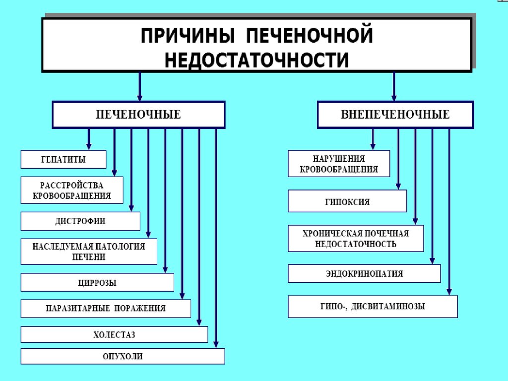 Печень патофизиология презентация