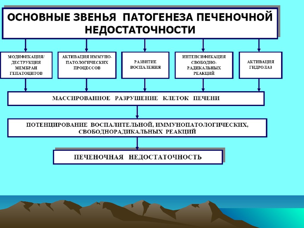 Основное звено патогенеза. Патогенез печеночной недостаточности патофизиология. Этиология печеночной недостаточности патофизиология. Печеночно-клеточная недостаточность патогенез. Острая печеночная недостаточность патофизиология.