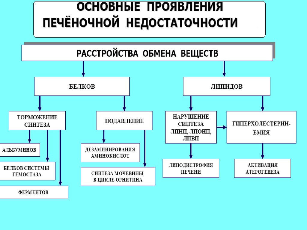 Патофизиология печени презентация