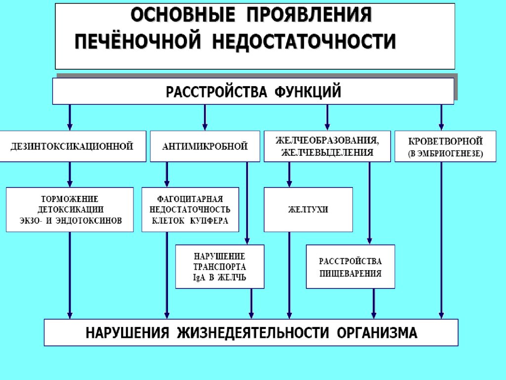 Признаки недостаточности печени