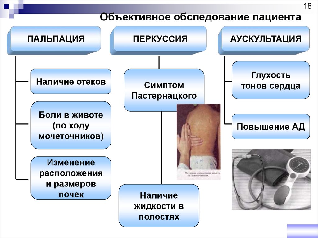 Боль в животе сестринское обследование. Объективное обследование пациента. Сестринский процесс при заболевании мочеполовых органов. Патология органов мочевыделения. Объективное исследование больного.