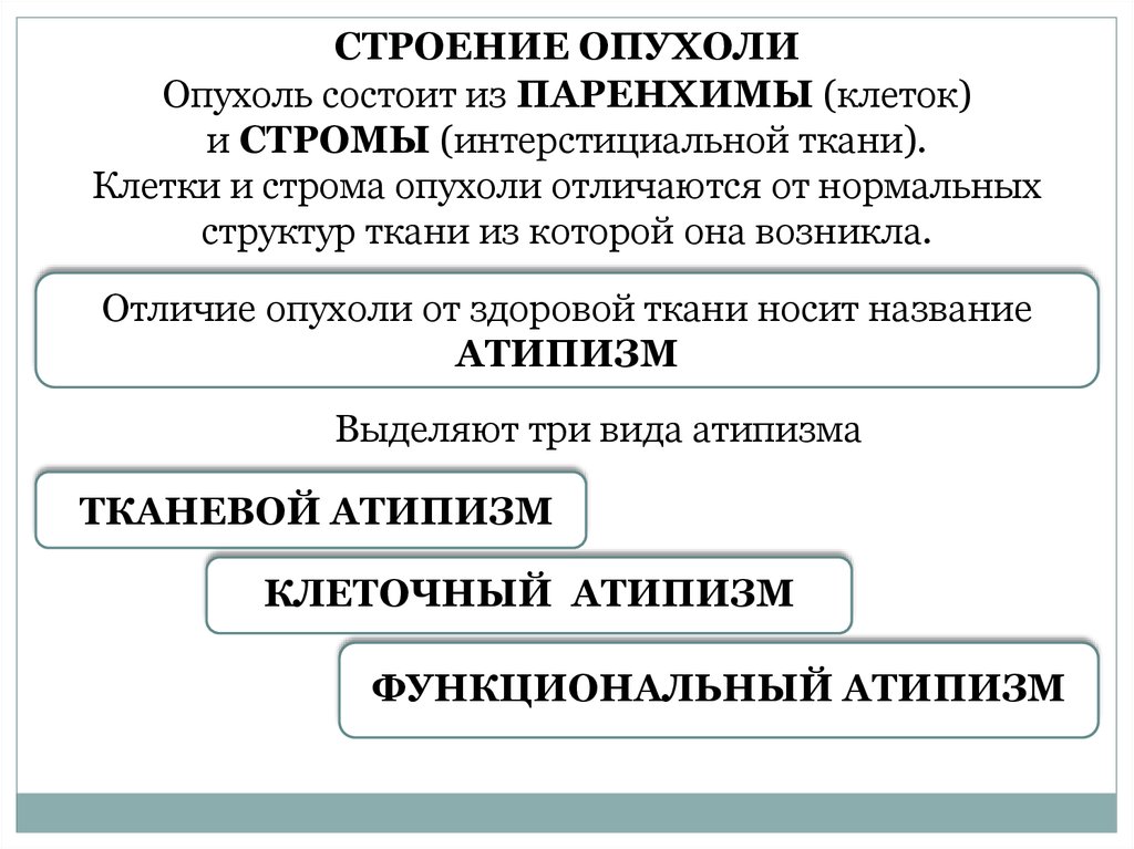 Строение опухоли картинка