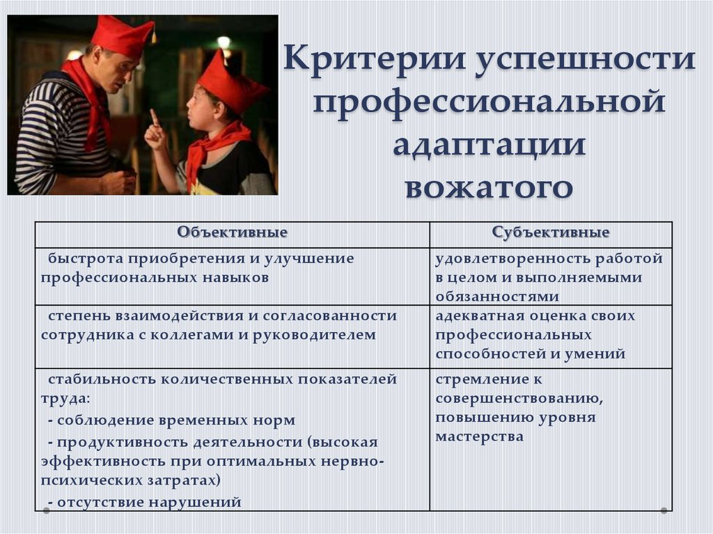 Практик объективный. Критерии адаптации к профессиональной деятельности. Критерии профессиональной успешности. Профессиональные и качества для работы вожатым. Критерии успешности профессиональной адаптации.