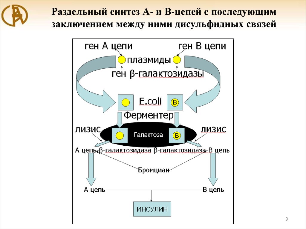 Синтез цепи