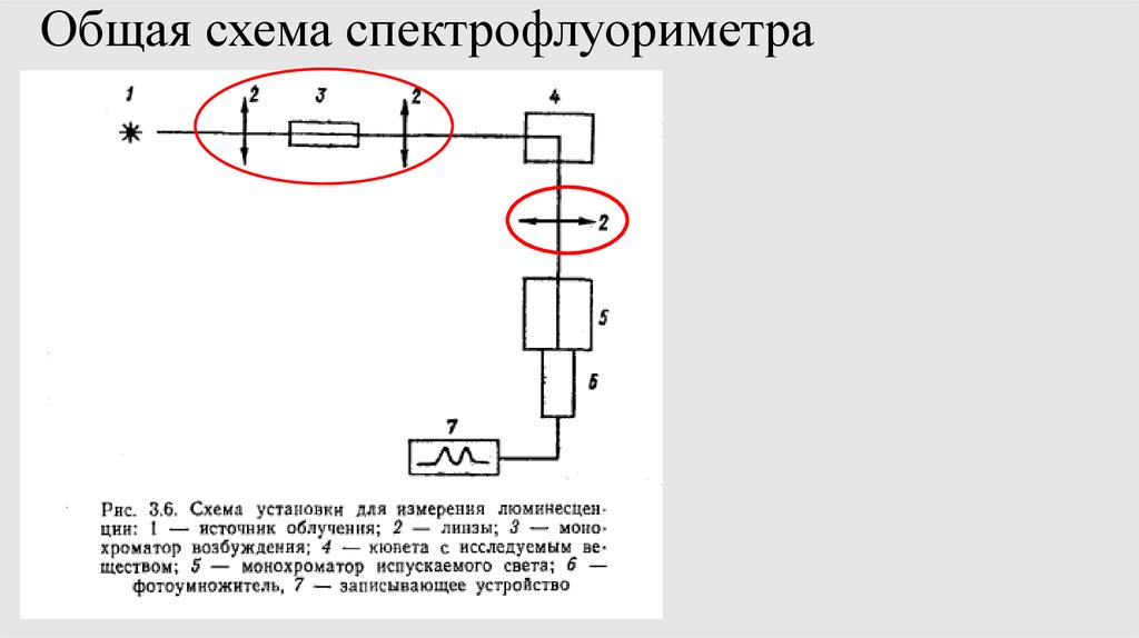 Принципиальная схема спектрофлуориметра