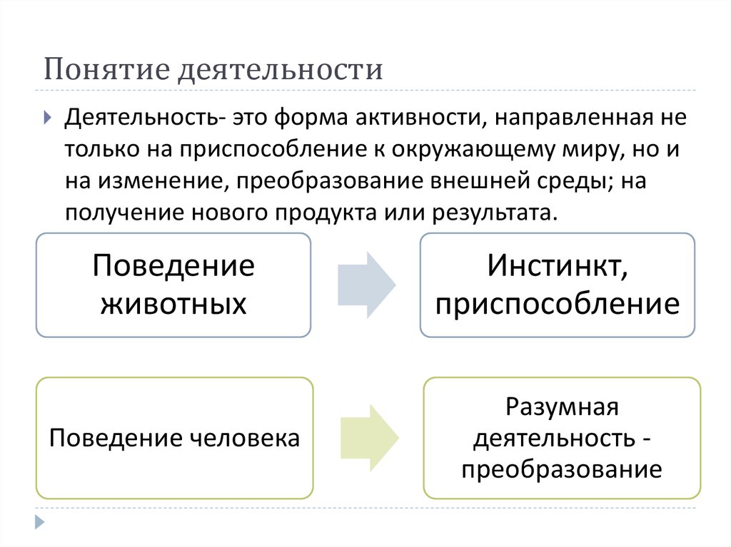 Термин деятельность человека