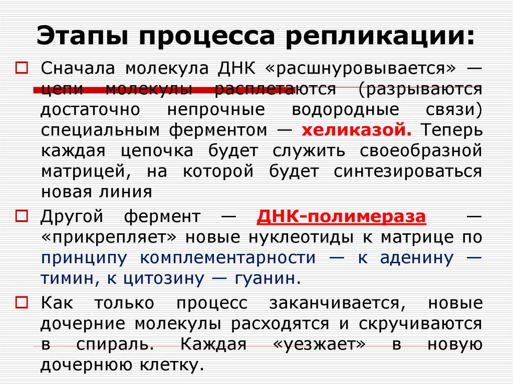 Редупликация днк последовательность. Процесс репликации ДНК кратко. Основные этапы репликации ДНК. Этапы процесса репликации. Этапы процесса репликации ДНК.