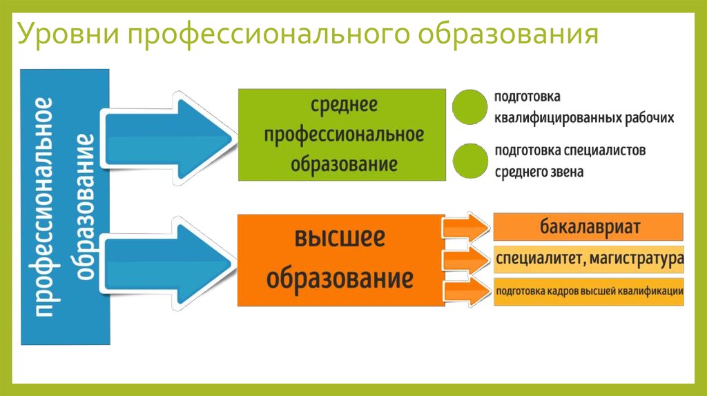 Структура высшего образования в россии схема