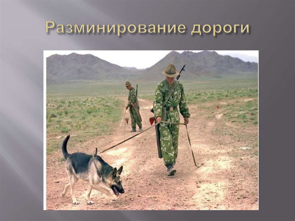 Разминирование дороги