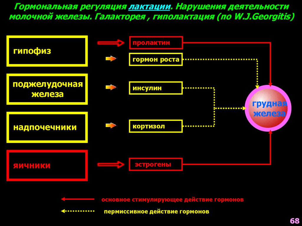 Схема регуляции лактации