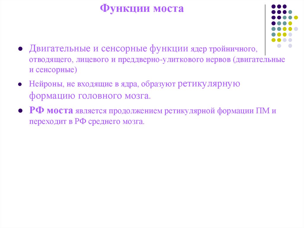 Какую функцию выполняет мост мозга. Функции моста головного мозга кратко. Функции моста головного мозга физиология. Функции моста по биологии. Функции моста мозга человека кратко.