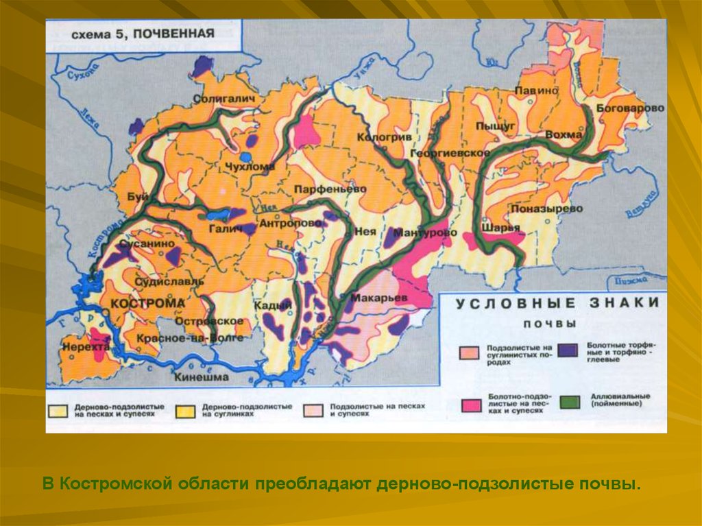 Боговарово карта костромская область