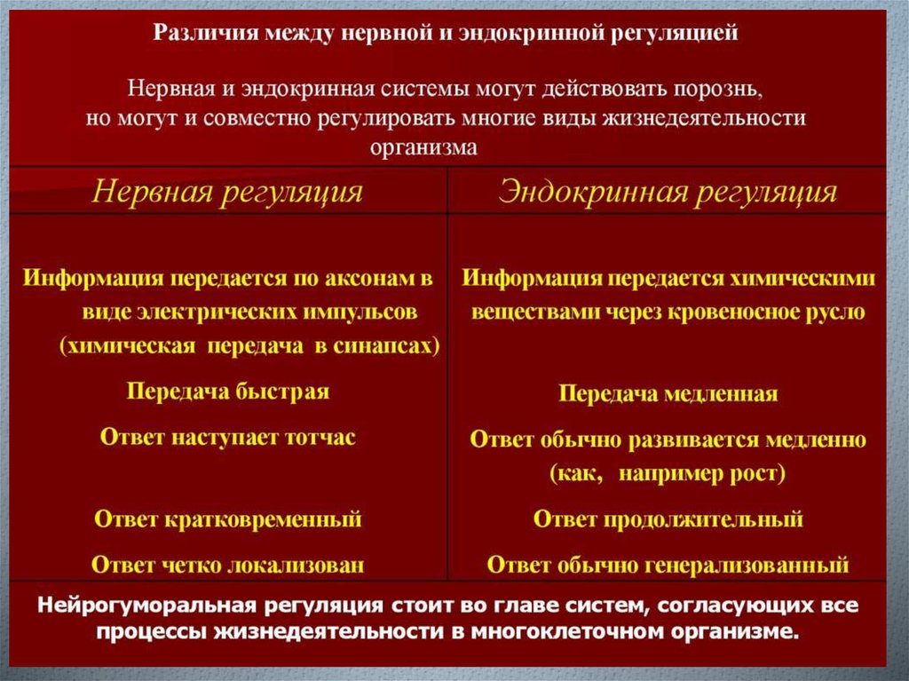 Автономный отдел нервной системы нейрогуморальная регуляция презентация 8 класс