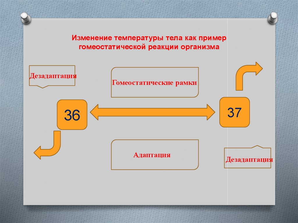 Автономный отдел нервной системы нейрогуморальная регуляция презентация 8 класс