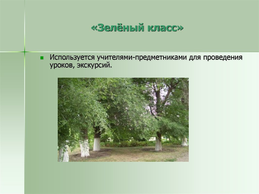 Салатовый класс. Зеленый класс на территории школы. Зеленый класс беседка в школе. Зеленый класс в школьном дворе. Зеленый класс в школе.