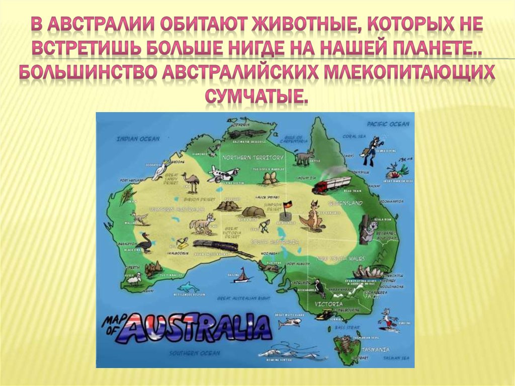 Австралия сообщение