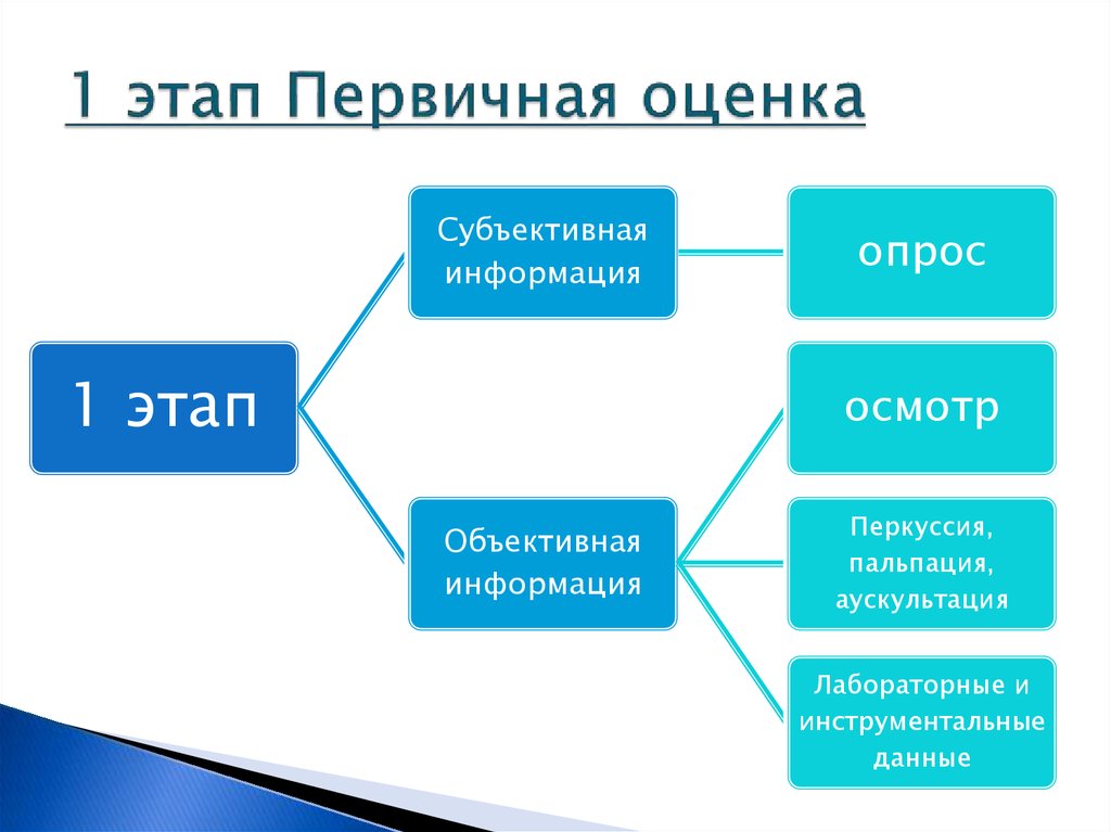 Типы оценок. Объективная и субъективная оценка. Первичная оценка. Объективное и субъективное оценивание. Субъективная оценка и объективная оценка.