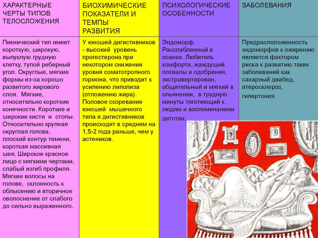 4 конституционный типа. Конституционный Тип. Характерные черты типов Конституции. Пикнический Тип Конституции. Пикнический Тип телосложения заболевания.