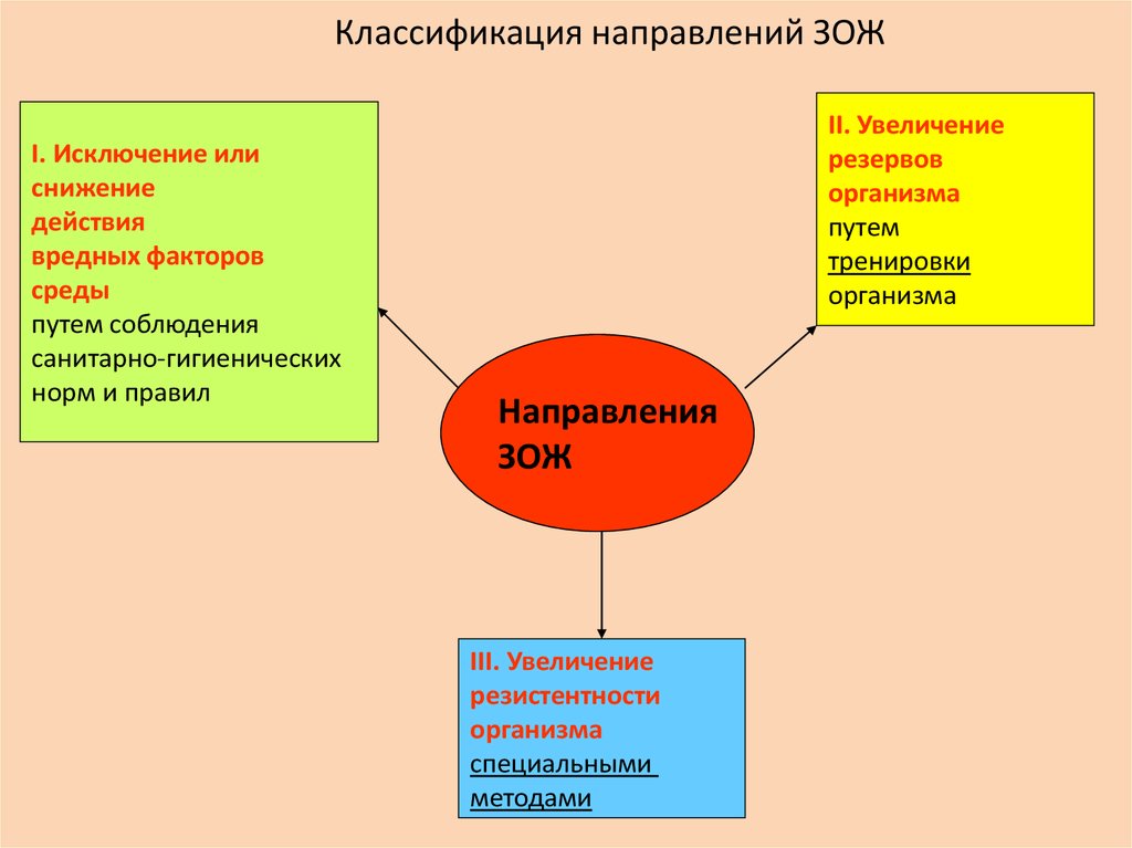 Процесс организации здорового образа жизни