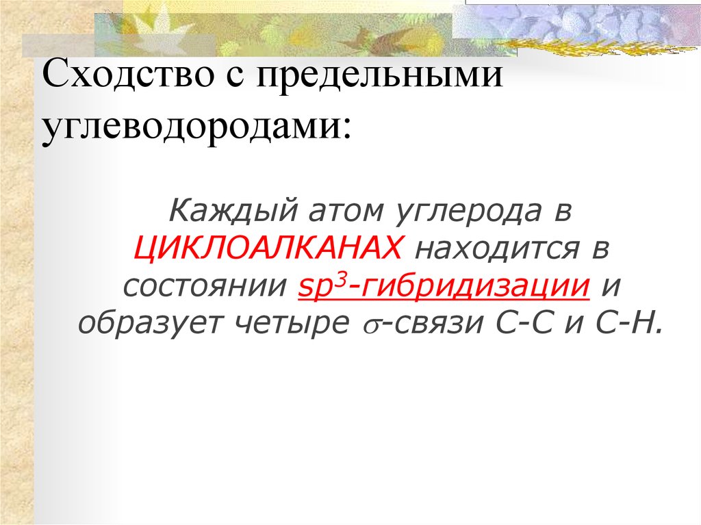 Предельные углеводороды циклоалканы. Предельные углеводороды.