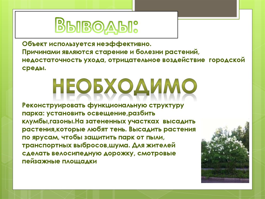 Вывод объекта. Влияние растений на городскую среду.. Газон детский парк состав. Парк ямка Петрозаводск карта.