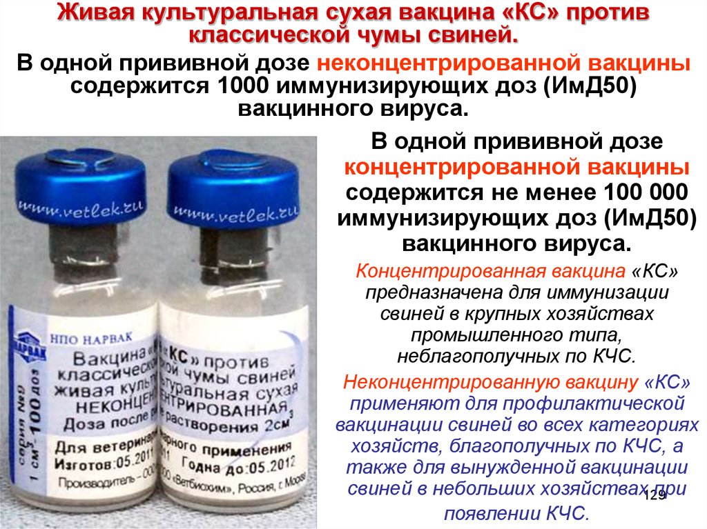 Вакцина против сибирской язвы инструкция