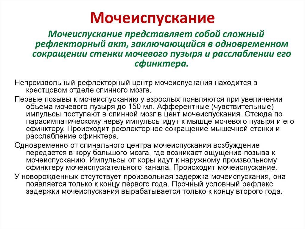 Схема рефлекторной дуги контроля мочеиспускательного рефлекса