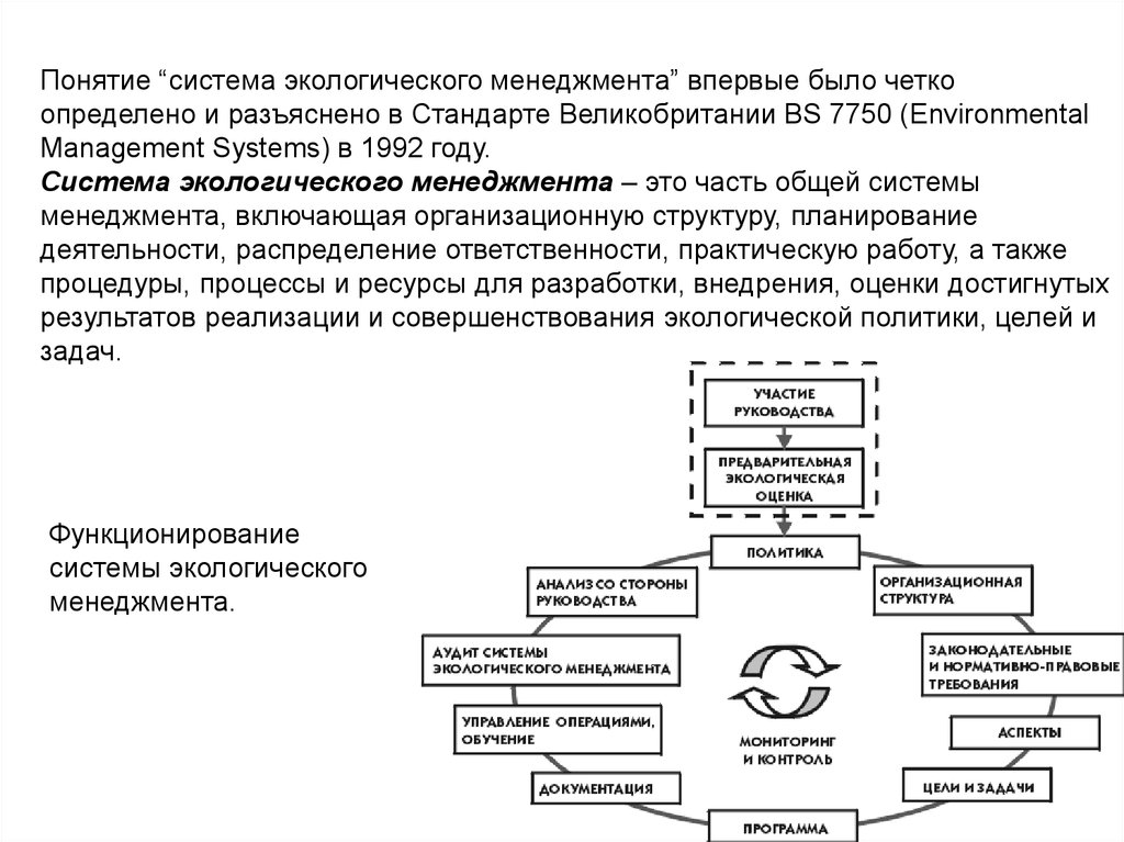 Понятие системы в экологии. Британский стандарт в области систем экологического менеджмента BS 7750. Система экологического менеджмента (Сэм). Организационная структура системы экологического менеджмента. Структура экологического менеджмента.