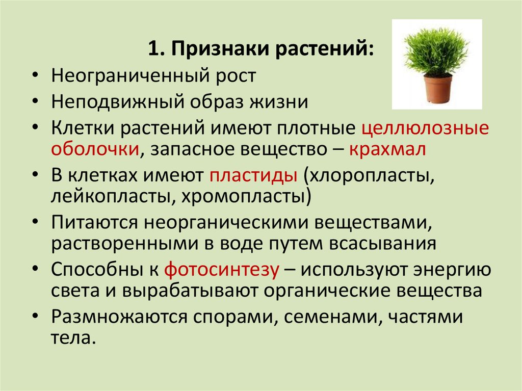 Укажите все признаки описывающие рост растения