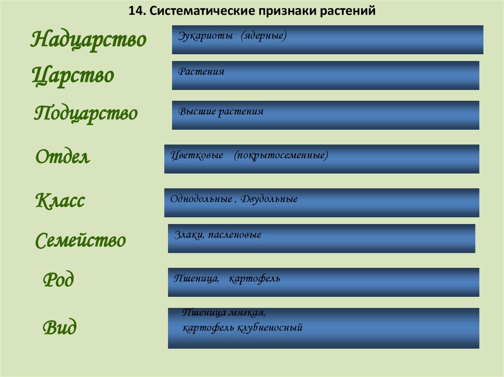 Систематические признаки растений