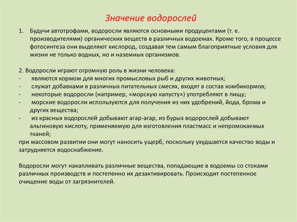 Папоротники в отличие от водорослей являются автотрофами. Значение водорослей удобрения.