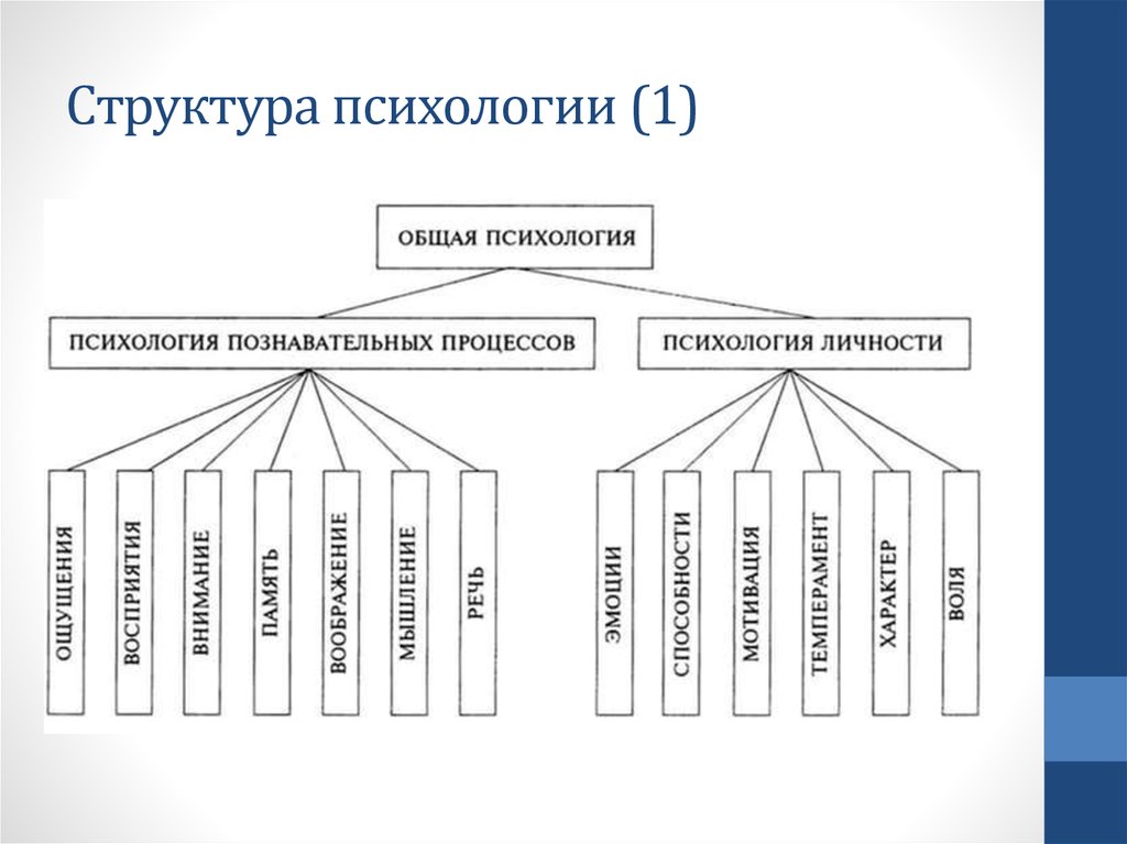 Структура психологии схема