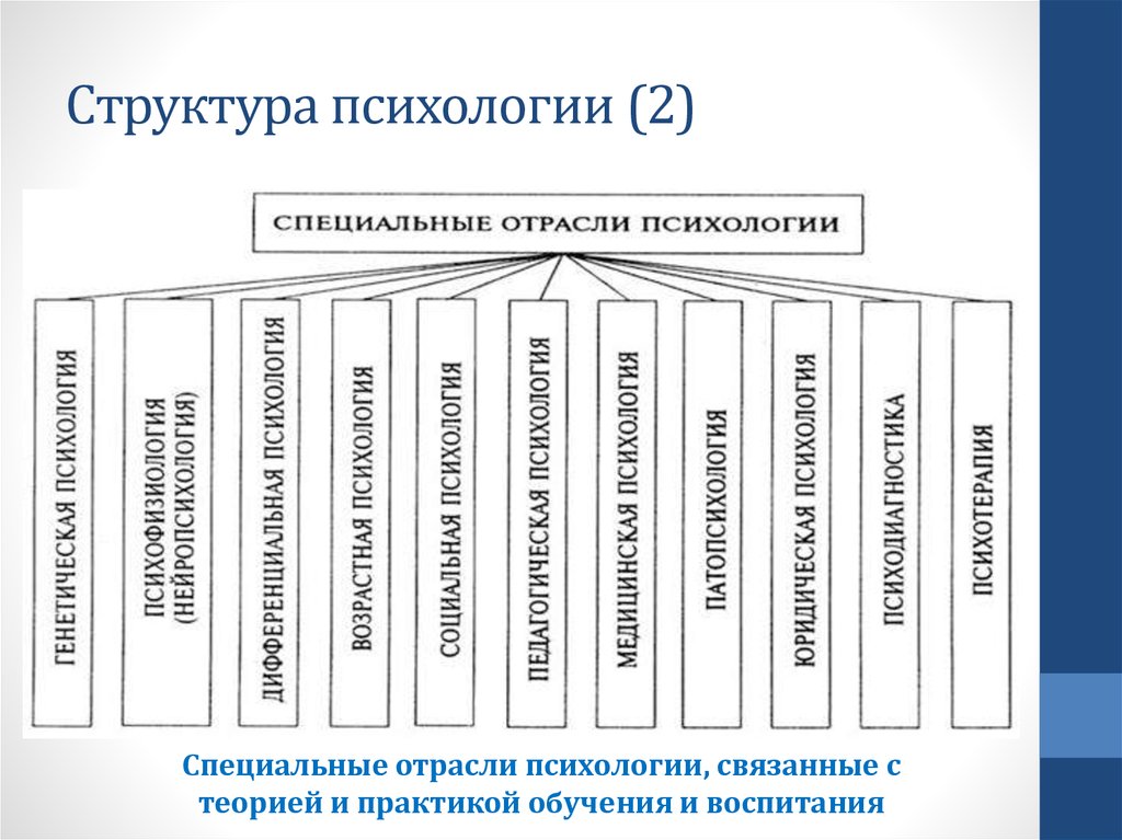 Структура психологии (2)