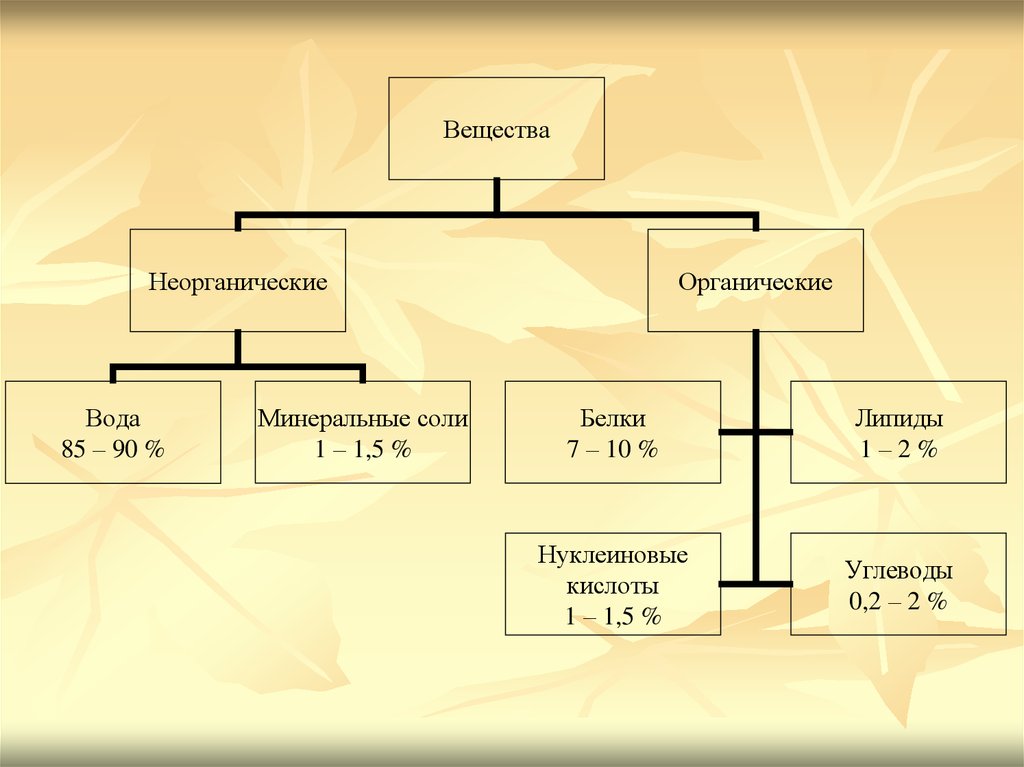 Схема минерализации органических веществ в воде