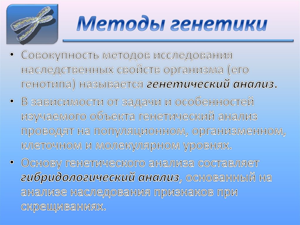 Методы генетики презентация