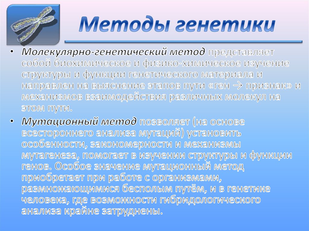 Методы генетики