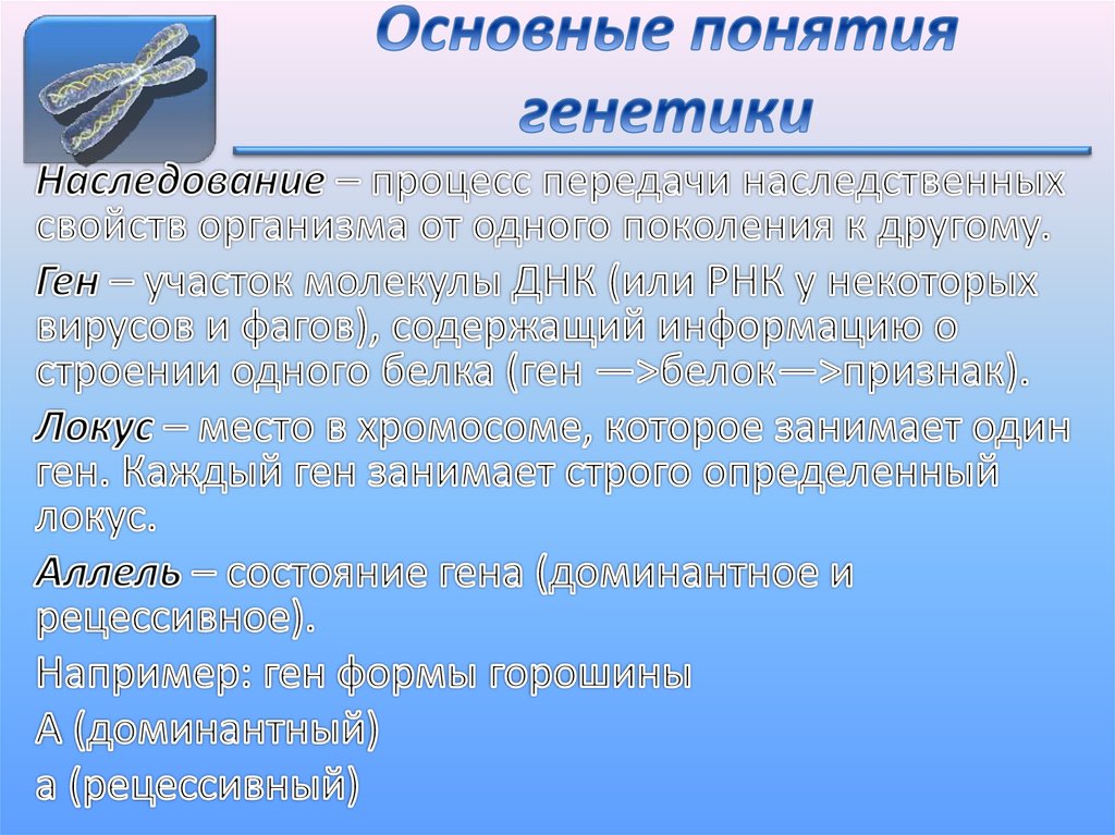 Проект основные понятия генетики