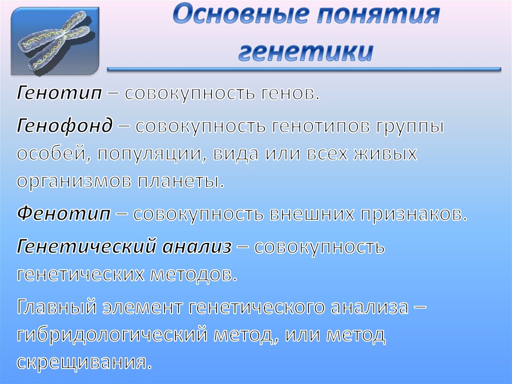 Основные понятия генетики презентация