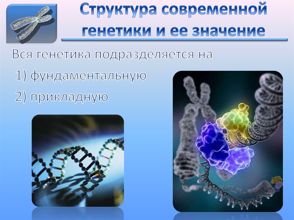 Презентации по теме генетика