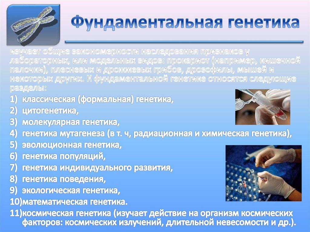 Фундаментальная генетика