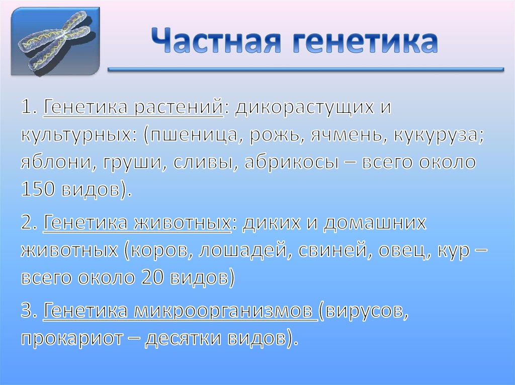 Основные понятия генетики презентация