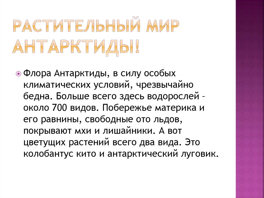 Растительный мир Антарктиды!