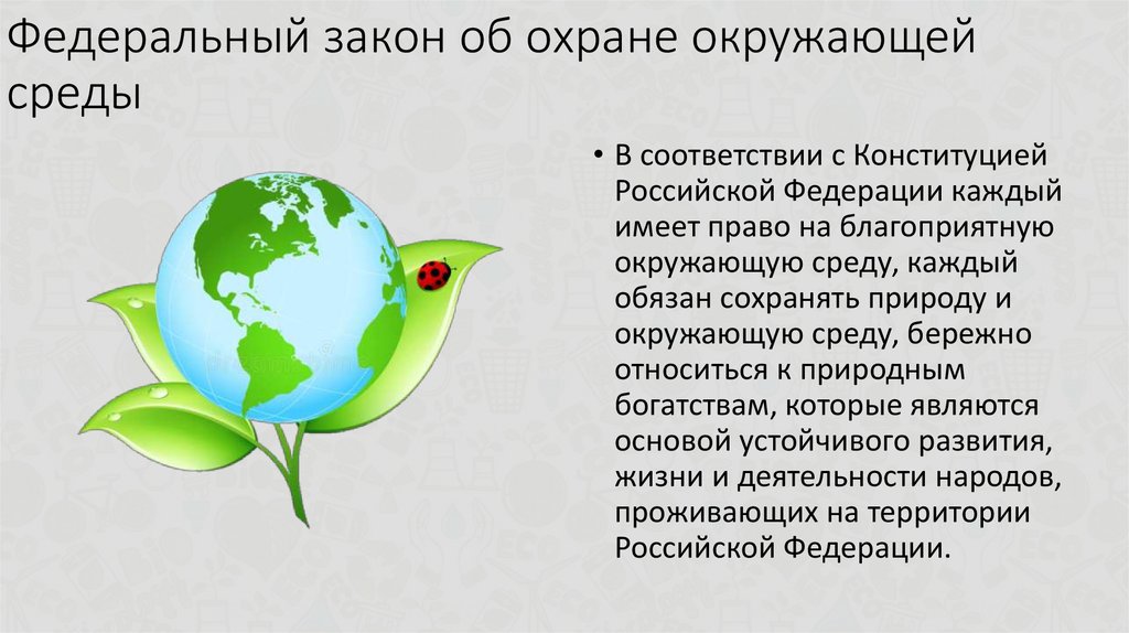 Презентация на тему законы россии об охране животного мира система мониторинга