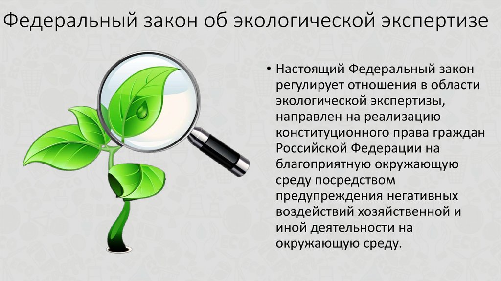 Экспертиза дипломного проекта на соответствие требованиям безопасности и экологичности