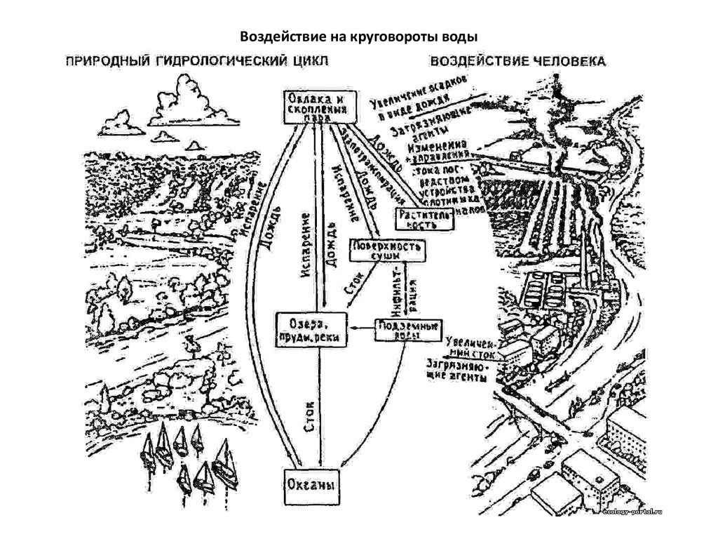 Построить схему и описать модель естественного природного ландшафта местности с учетом антропогенных