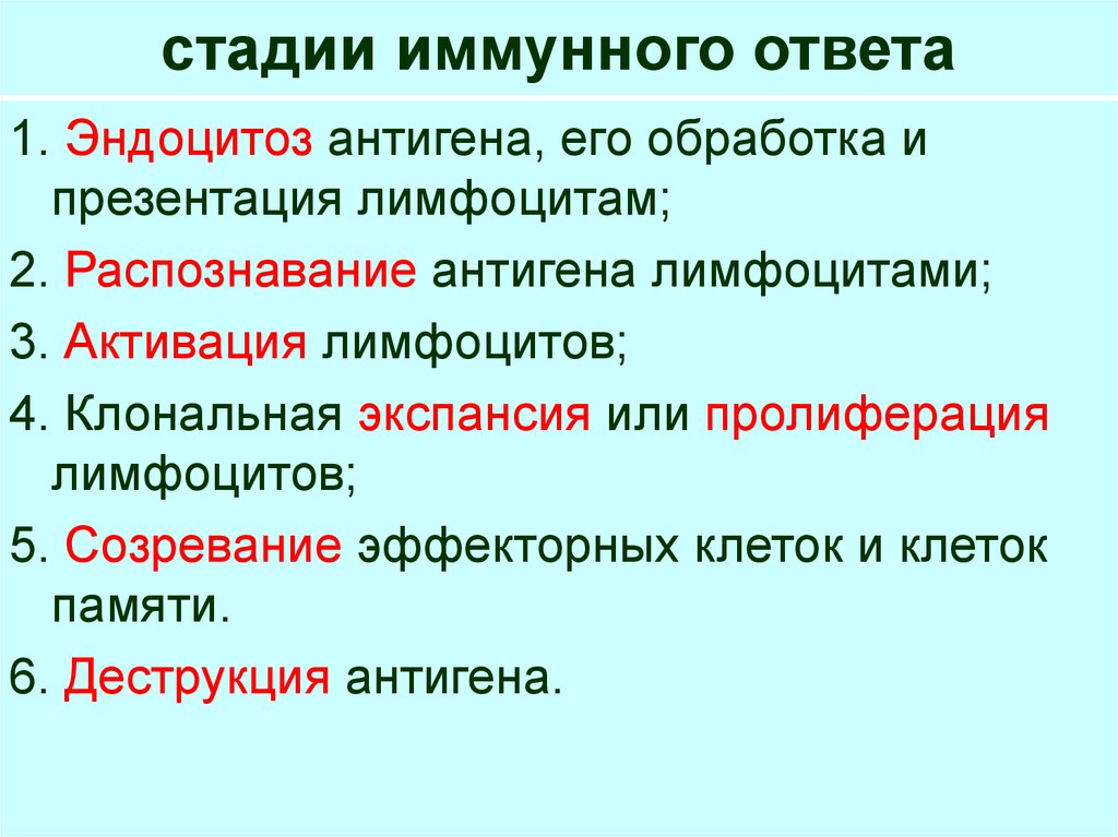 Развитие иммунного ответа